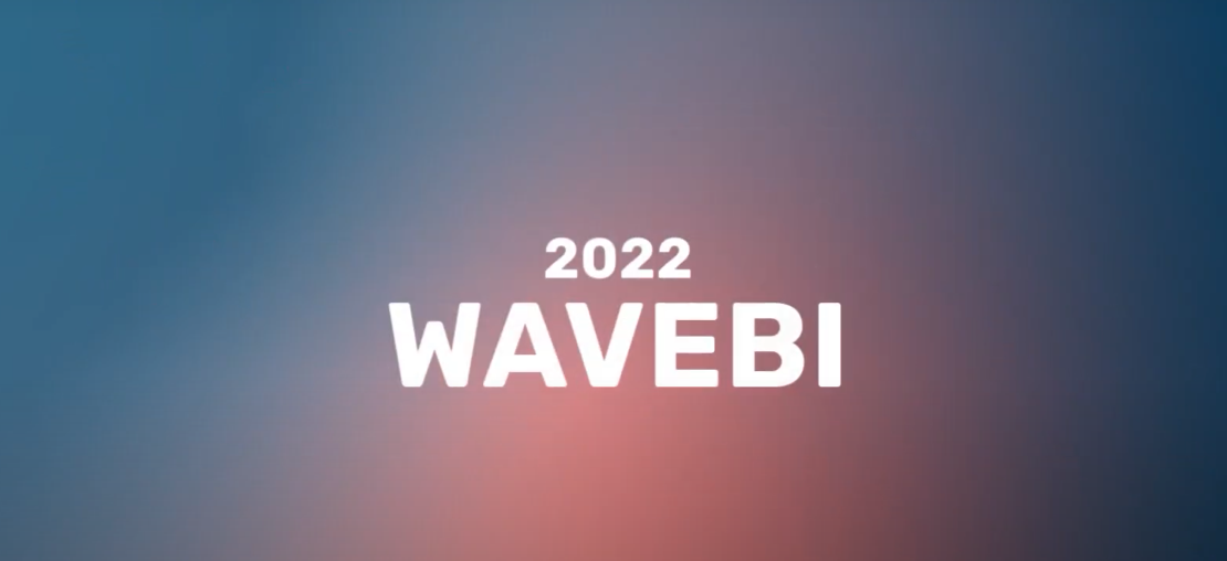 2022 - Wavebi